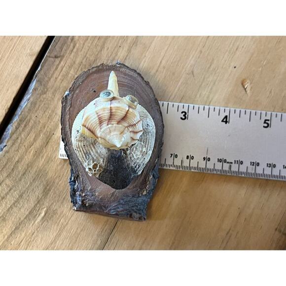 Vintage Novelty Knick-Knack. Bird made out of sea shells on wood. Beach Nautical - Picture 9 of 9